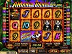 Amanda Panda Slot Machine