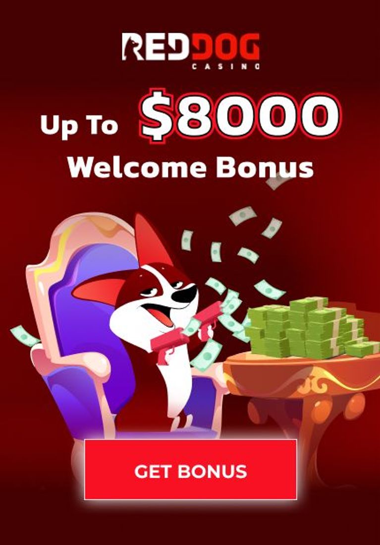 Who Won What at Red Dog Casino?