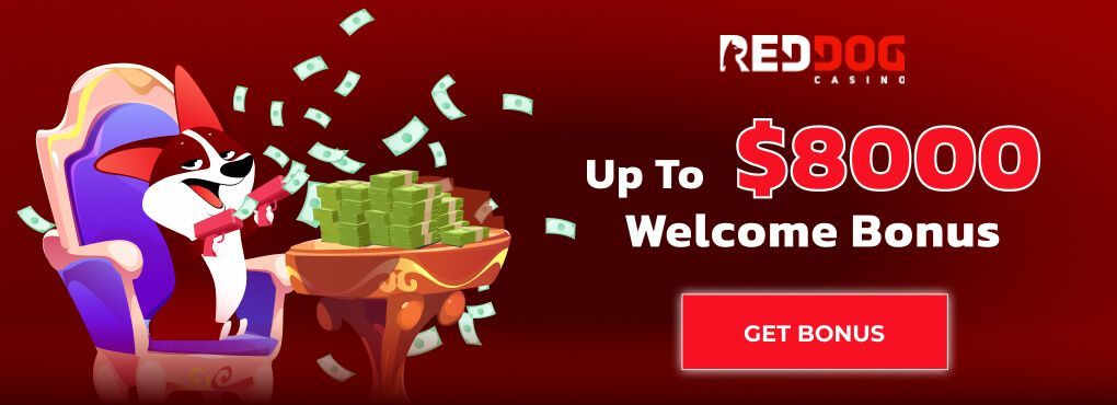 Who Won What at Red Dog Casino?