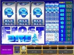Frost Bite Slots