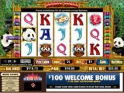 Double Panda Slots