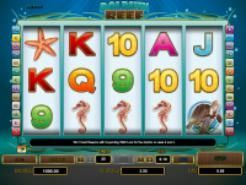 Dolphin Reef Slots (Playtech)